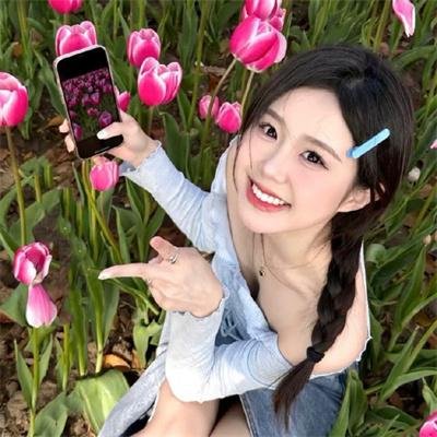 蒲公英的灰尘